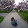 Nikki And The Magnolias